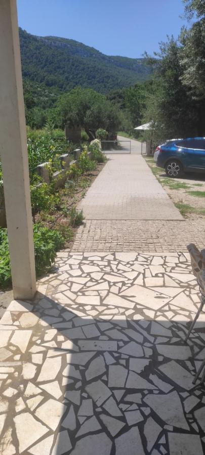 Apartmani Maslina Žuljana Eksteriør bilde